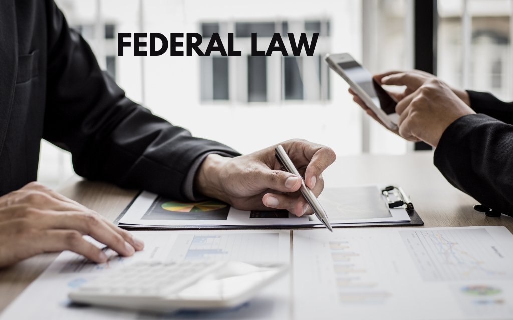 What Does Federal Law Say About Departmental Accountable Officials?