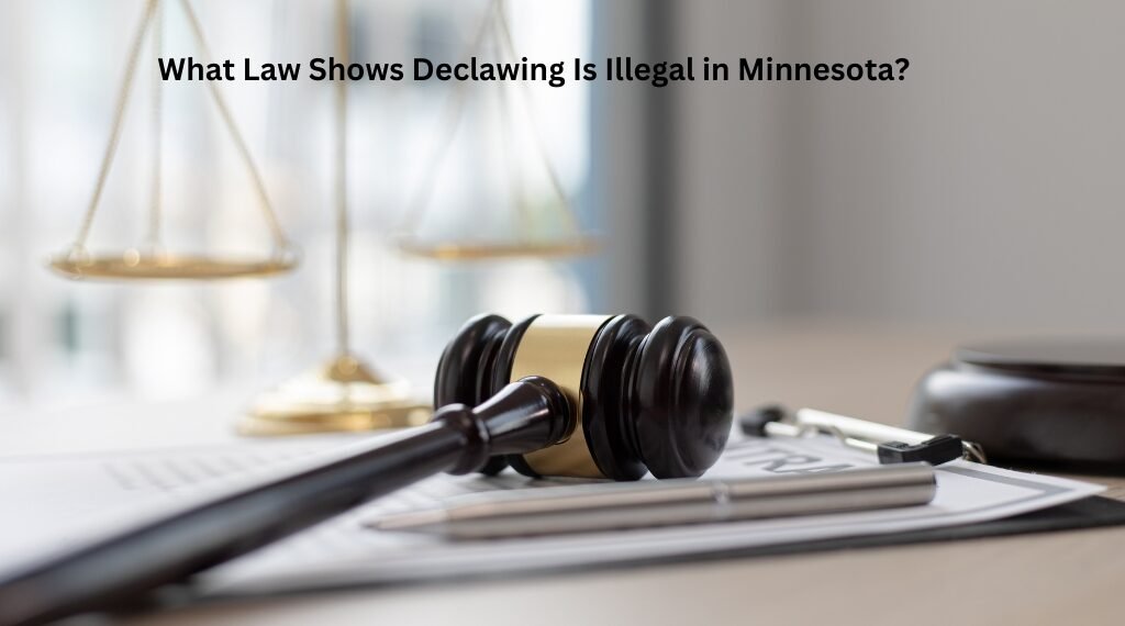 What Law Shows Declawing Is Illegal in Minnesota