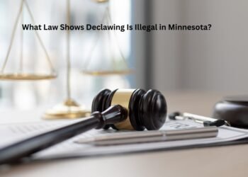 What Law Shows Declawing Is Illegal in Minnesota