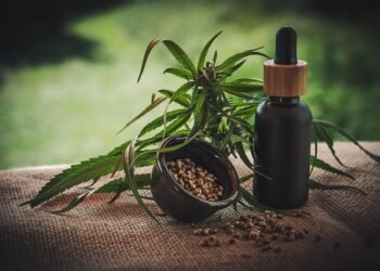 Exploring the Different Types of Cannabis Products Available