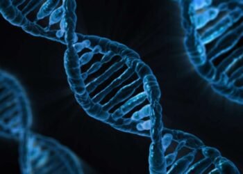 DNA Testing and Child Custody