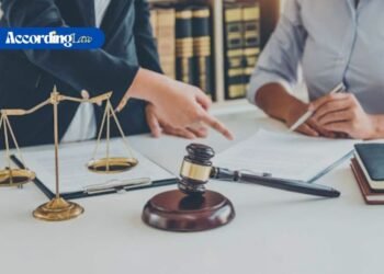 5 Invaluable Insights to Secure the Right Divorce Lawyer