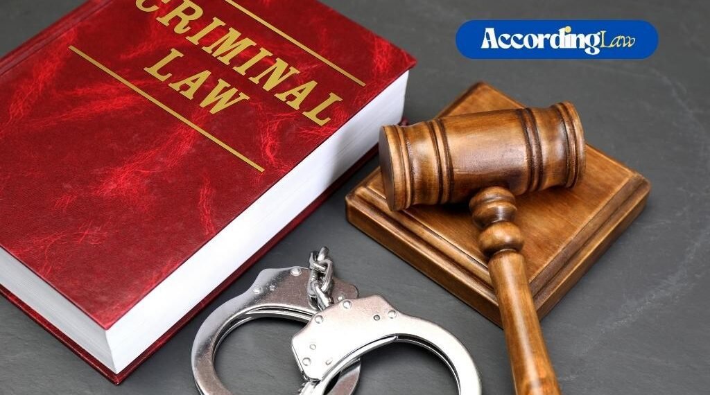 Top Ways Criminal Justice Lawyers Can Improve Their Practice