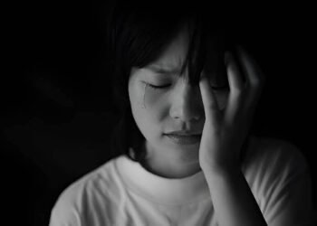 Prince Albert Lawyers