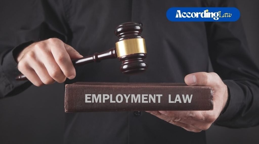 What Does an Employment Lawyer Actually Do