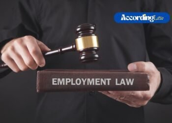 What Does an Employment Lawyer Actually Do