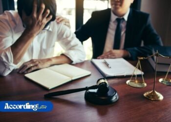 What Happens Inside a Defence Lawyer’s Mind if Client's Guilty