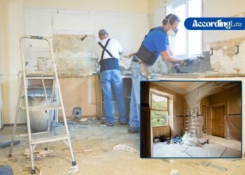 Eco-Friendly Property Renovation: Legal & Sustainable Steps