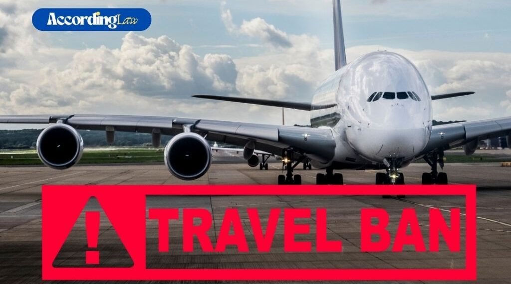 Impact of 2025 Travel Ban on Texas Immigrant Communities