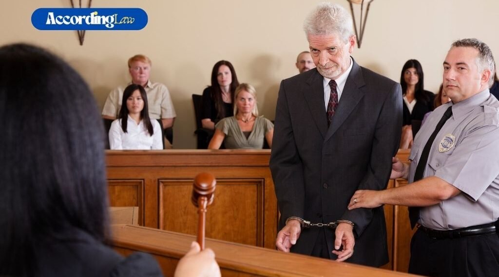 The Role of a Public Defender In Criminal Cases In Florida