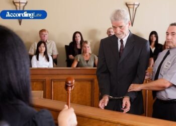 The Role of a Public Defender In Criminal Cases In Florida