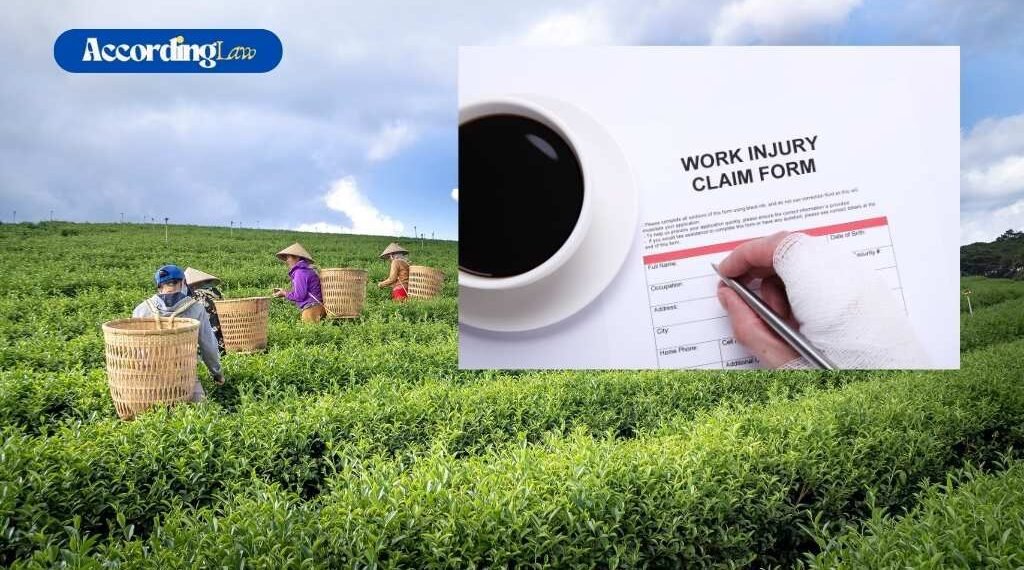 Agricultural Injury Claims & Workers’ Rights in Pennsylvania