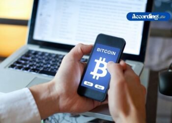 Crypto Market Rallies