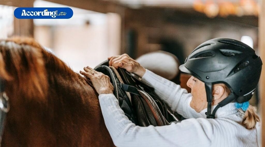 Horse Racing Legal Issues: From Betting to Welfare