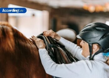 Horse Racing Legal Issues: From Betting to Welfare