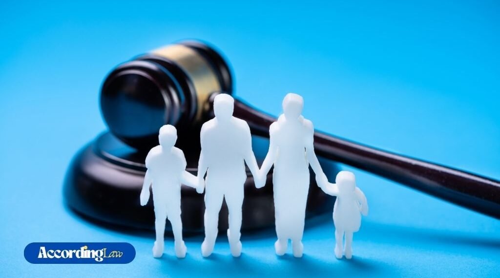 How Can a Family Lawyer Help With Child Custody and Support?