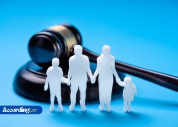 How Can a Family Lawyer Help With Child Custody and Support?