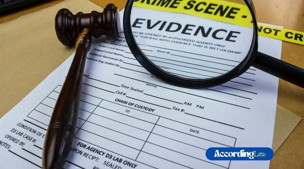 How Evidence Impacts Domestic Battery Defense in Chicago