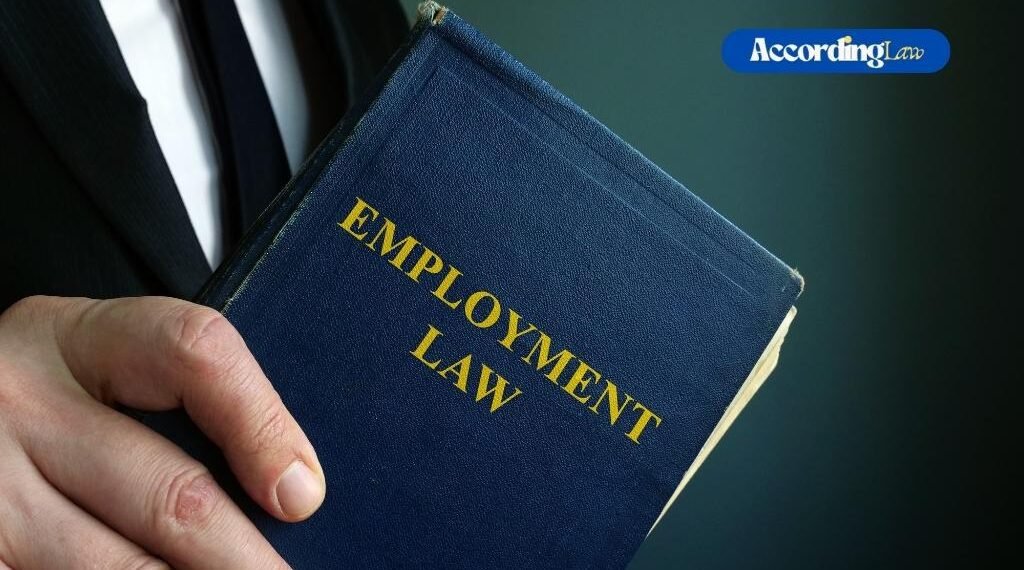 How Labor and Employment Lawyers Protect Employee Rights