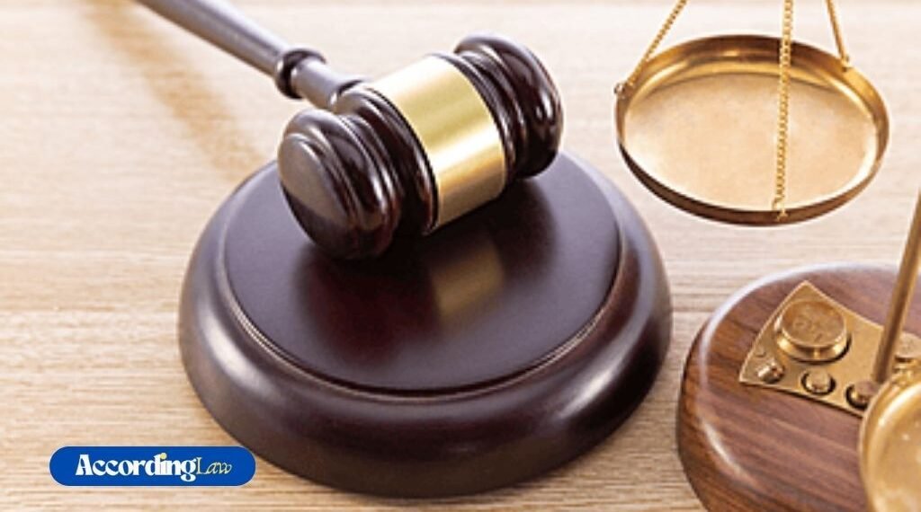 What Are Laws and Rights? Understanding the Difference