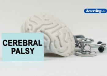 Exploring Compensation Options for Cerebral Palsy Care