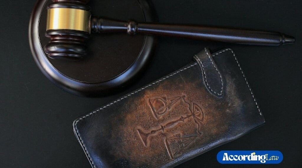 Navigating Complex Legal Cases with Expert Guidance