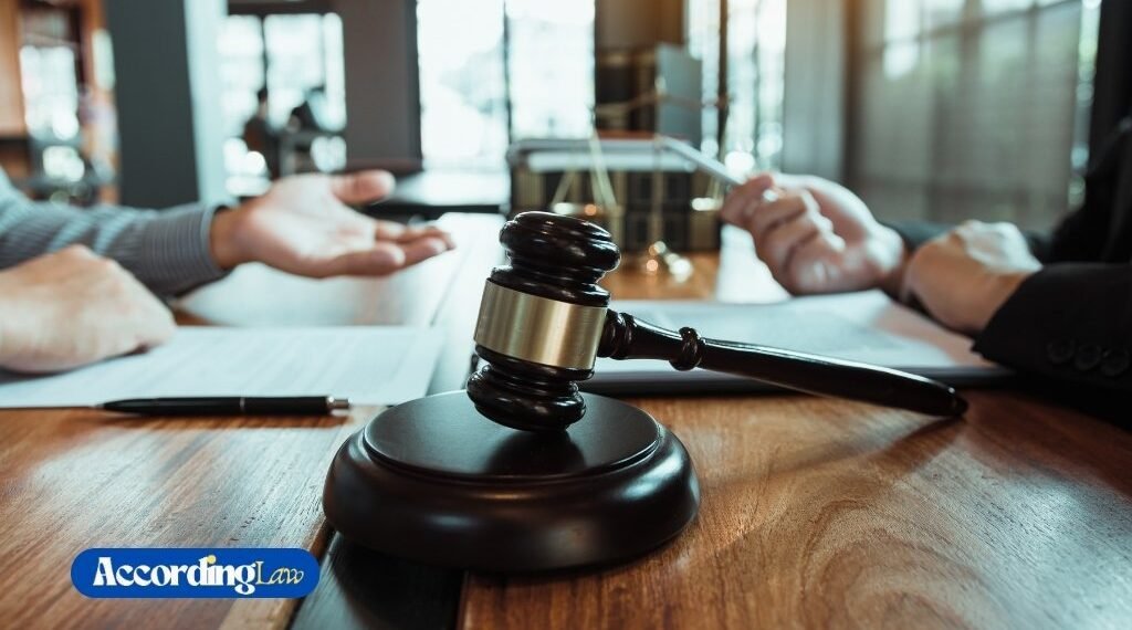 No Win No Fee Explained: Legal Insights By Patrick Mallon