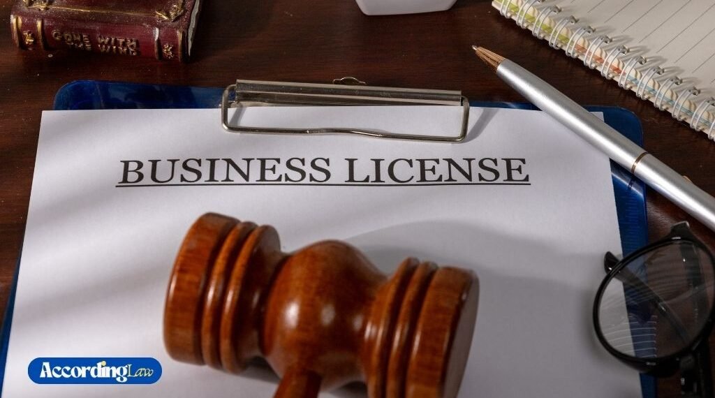 The Role of Transparency in Business Licensing