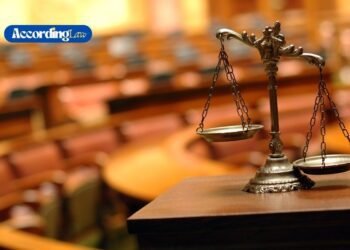 What a Lawyer Can Do After a Truck Crash