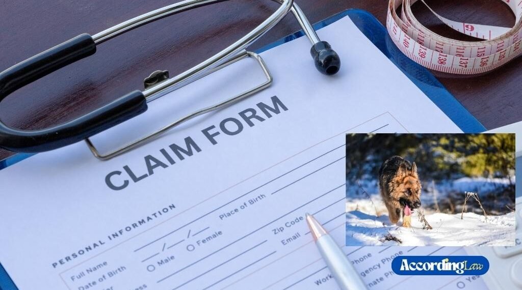 How Previous Animal Attack History Influences a Claim