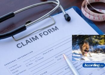 How Previous Animal Attack History Influences a Claim