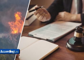 Everything You Need to Know About Wildfire Litigation