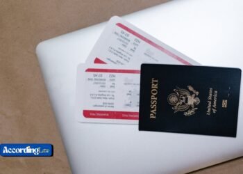 How an Immigration Lawyer Can Help With Work & Student Visas