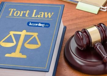 Key Differences Between Tort Law and Personal Injury Law