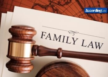 Key Issues a Family Lawyer Can Help You Resolve
