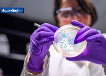 What Victims Need to Know About Filing an E. Coli Lawsuit