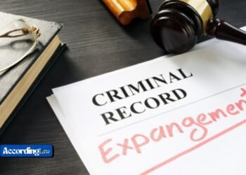 Criminal Expungement Guide