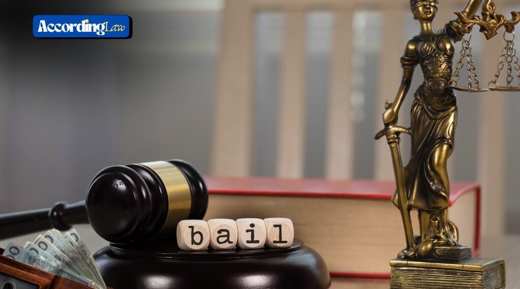 Do You Get Bail Money Back?