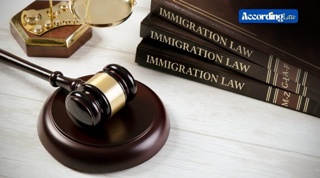 Immigration Law Explained: Role of U.S. Immigration Lawyers