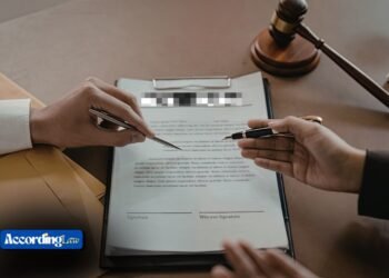 Little Giant Ladder Accessories