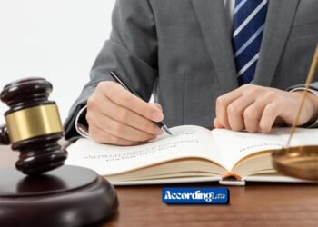 Family Law in Auckland: Practical Help for Tough Times Ahead