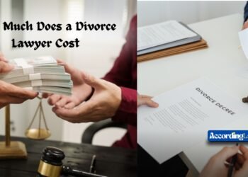 How Much Does a Divorce Lawyer Cost