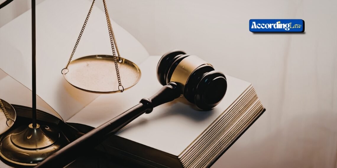 Crushed by Impact? Legal Support That Protects Rights Today