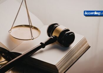 Crushed by Impact? Legal Support That Protects Rights Today