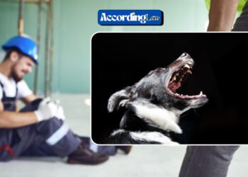 Understanding Dog Bite Injuries