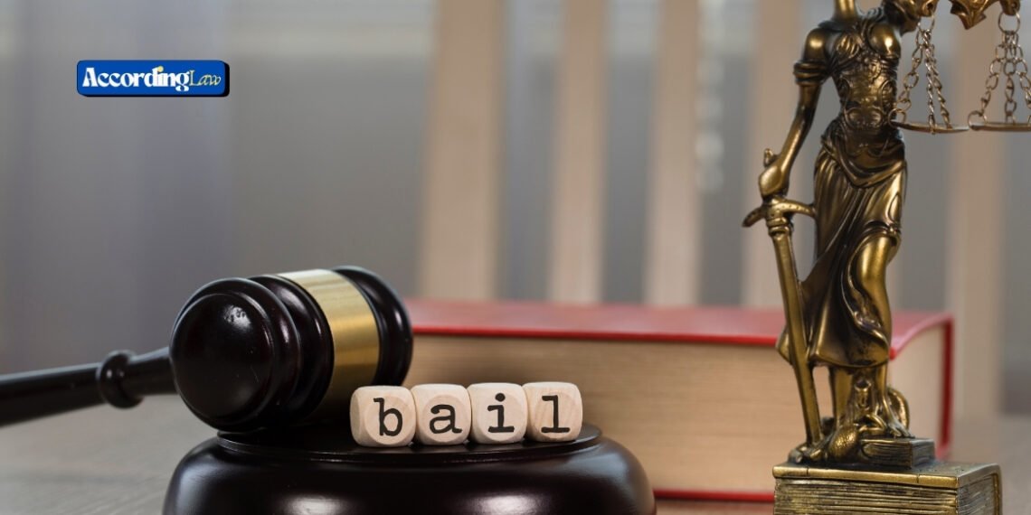 Understanding the Basics of Bail