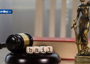 Understanding the Basics of Bail