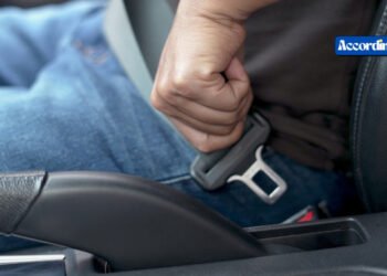 Wearing a Seat Belt Reduce a South Carolina Injury Claim